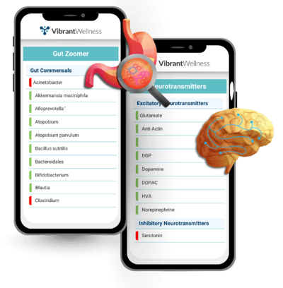 Gut Zoomer + Neurotransmitters Panel Report Mockups