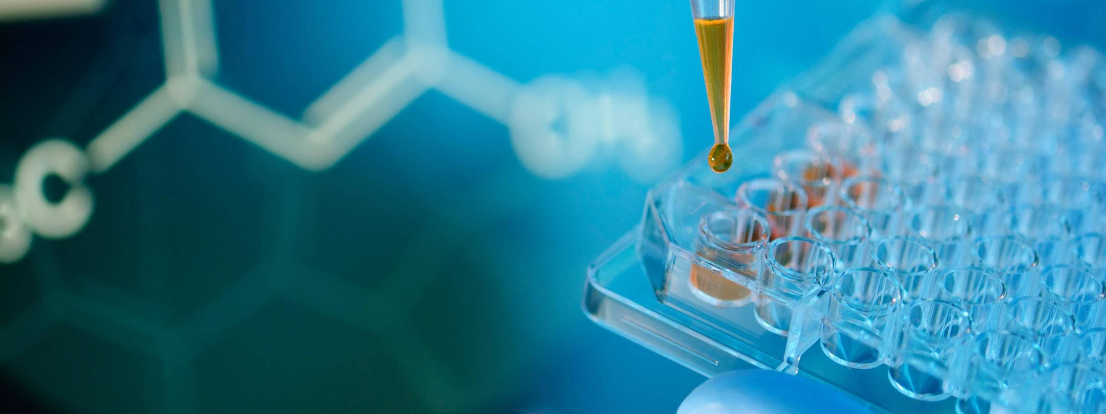 7 Common Micronutrient Deficiencies—And How to Increase Absorption