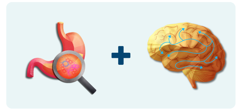 Vibrant Wellness Gut Zoomer + Neurotransmitters Panel