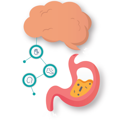 Gut Brain Axis Illustration
