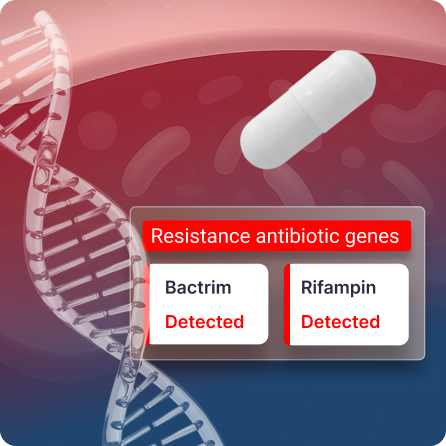 Antibiotic Resistance