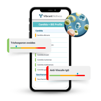 Candida + IBS Profile Mockup
