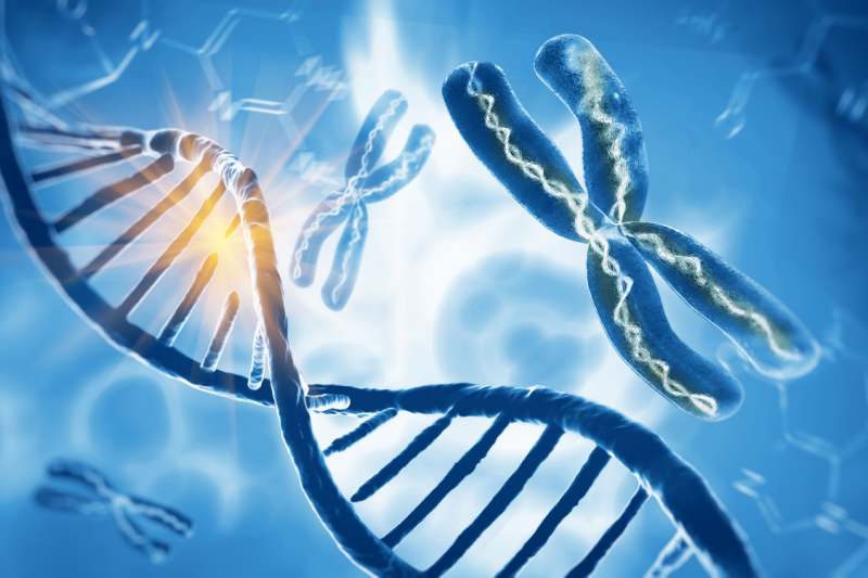 DNA-1