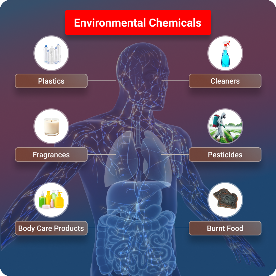 Environmental Chemicals