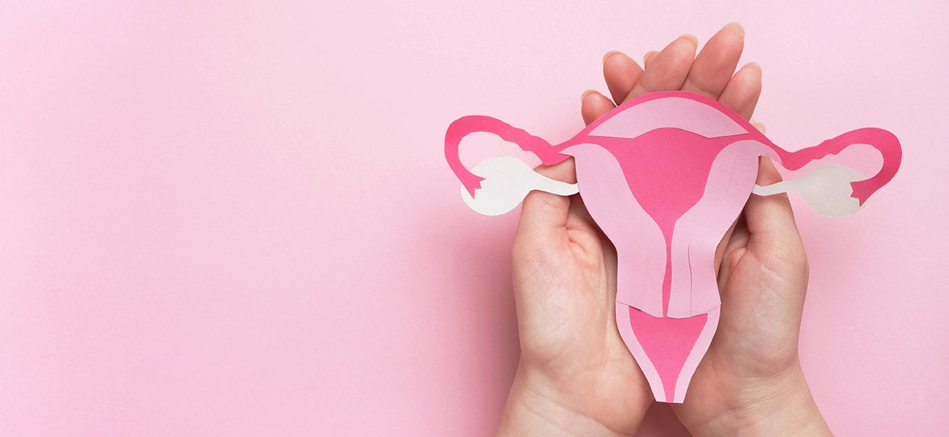 Female Reproductive