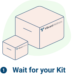 Graphics Workspace - 2025-12-09T140000.727