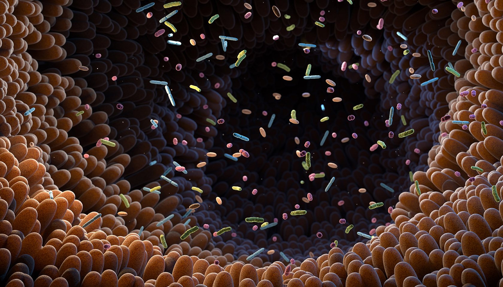 The New Gut Zoomer: Advanced Gut Microbiome Testing for Integrative Health