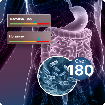 Gut Microbiome-Commensals