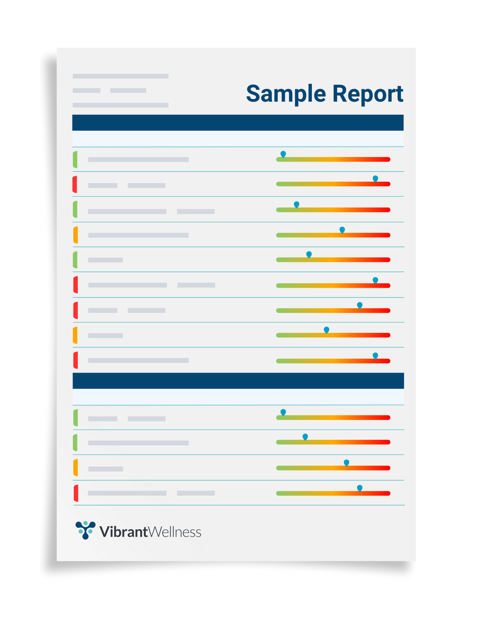 SampleReport