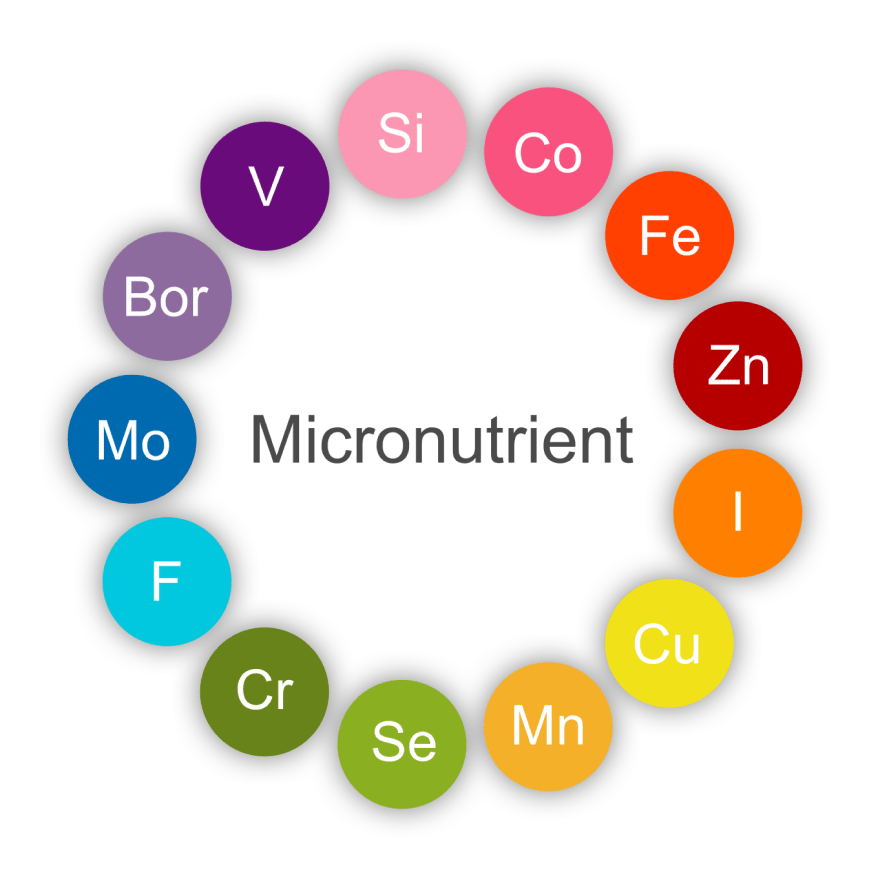 Micronutrients Panel