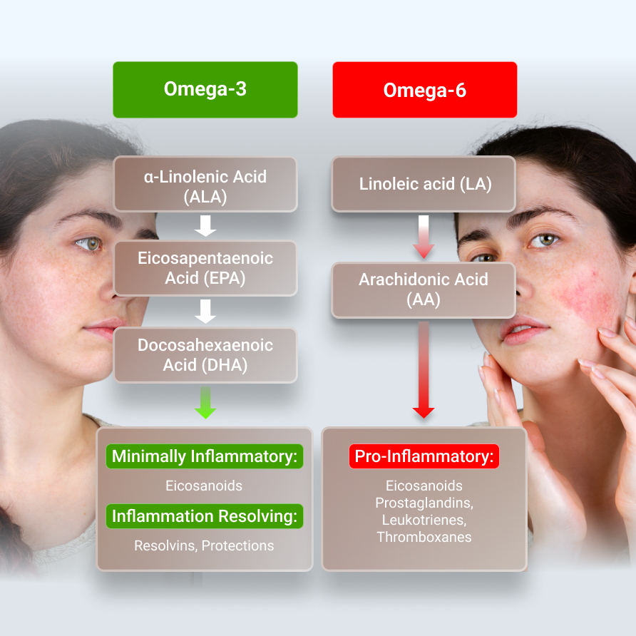 Redox Risk-Omega Fatty Acids