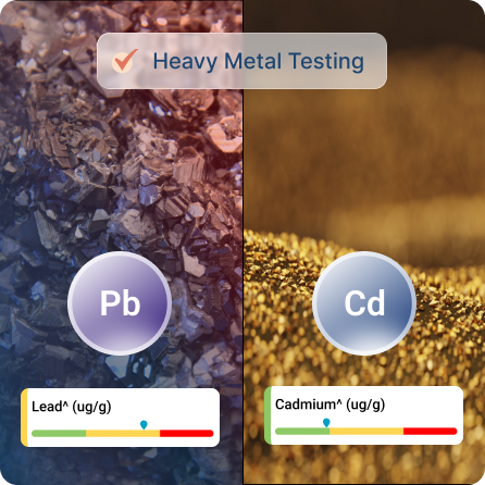 Heavy Metals-1