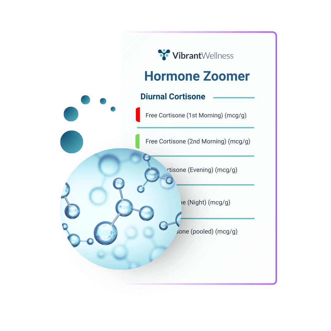 Hormone Zoomer Sample Report Mockup (2)