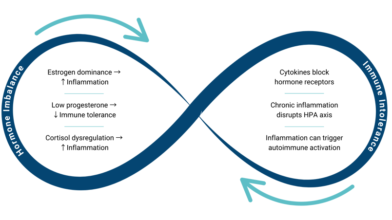 Hormone-Immune Feedback Loop