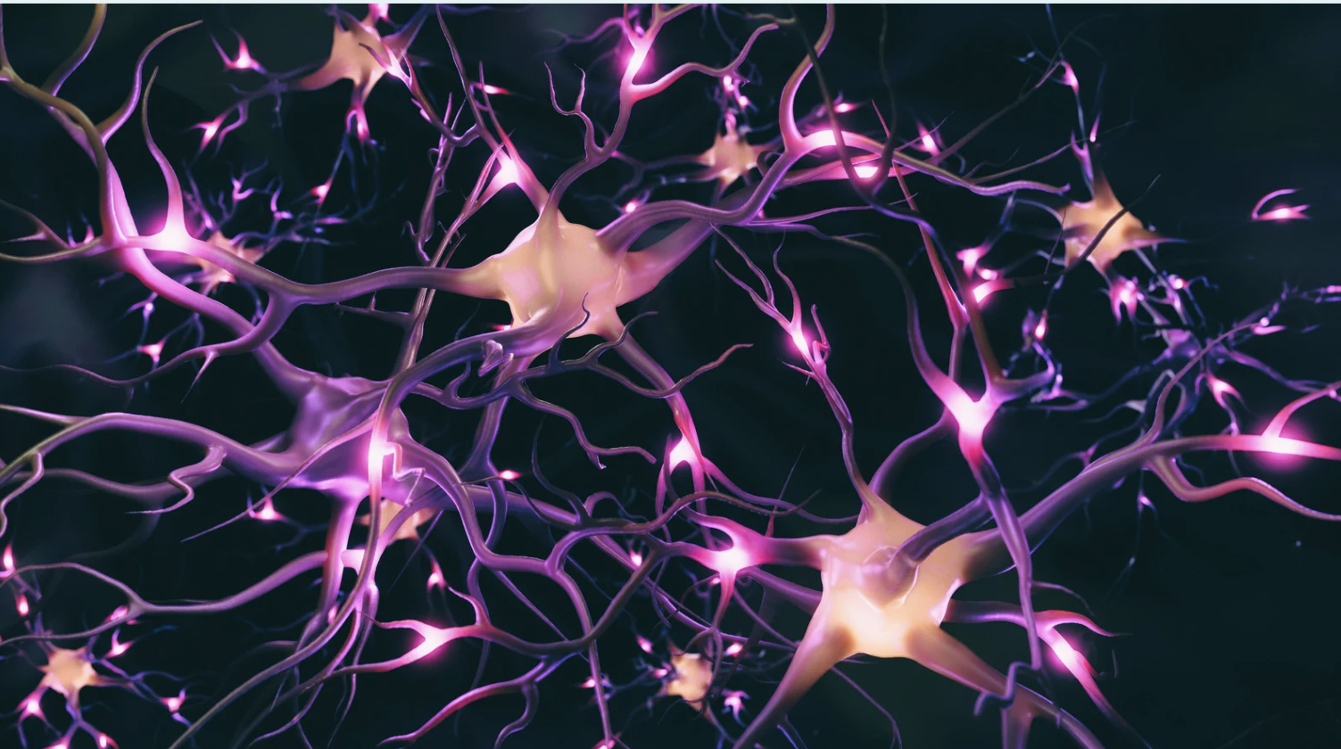 3D illustration of glowing neurons with interconnected synapses, showing electrical signals transmitting across nerve cells in the brain.
