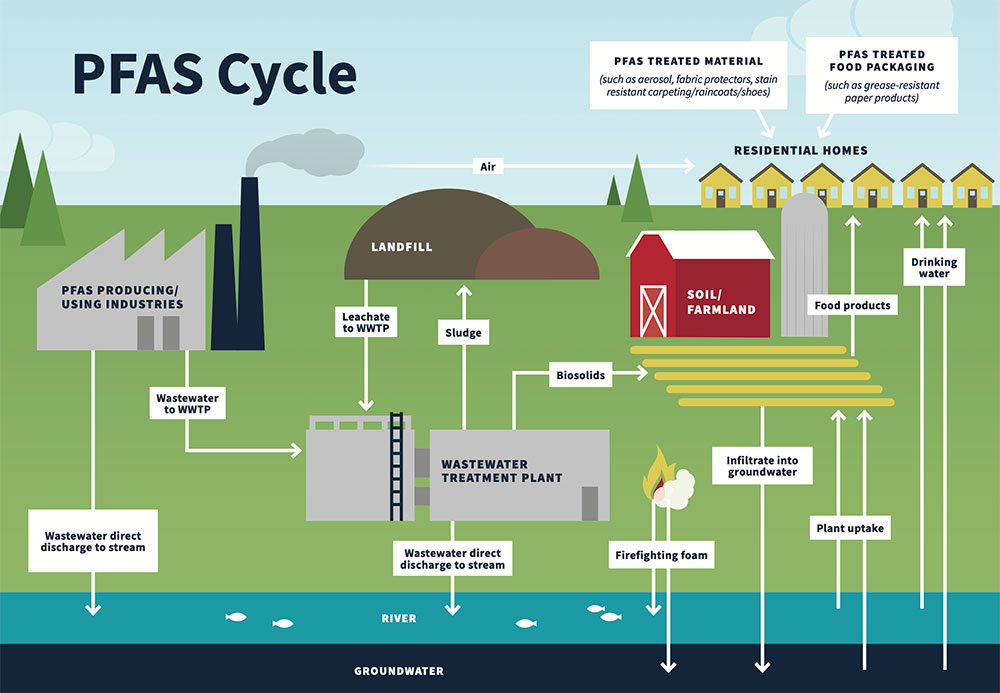 PFAS-Cycle