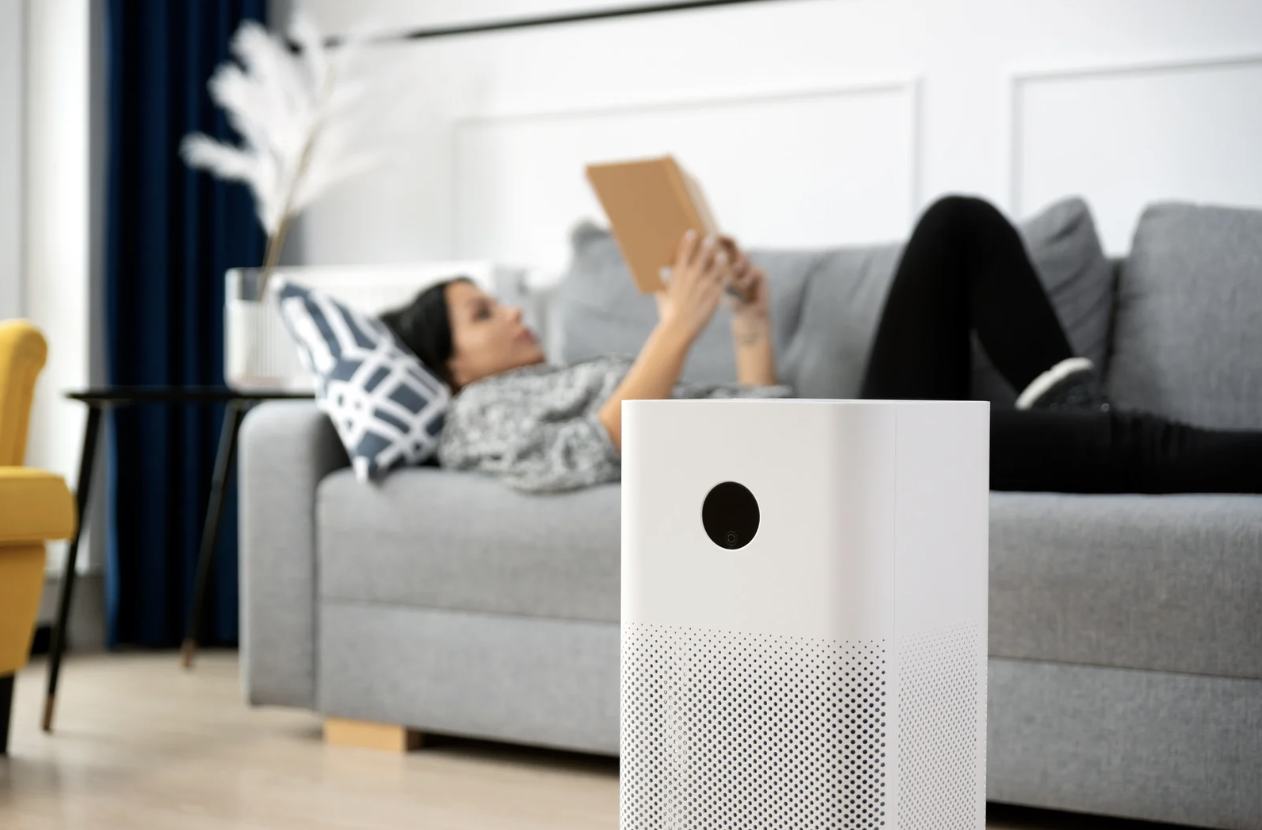 Air purifier in living room, representing efforts to reduce environmental toxins that affect gut and hormone health.
