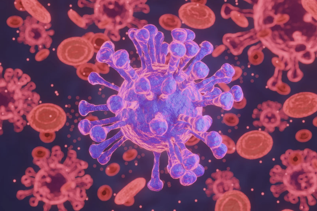 Immune activation triggered by viral antigens, illustrating environmental and hormonal contributors to autoimmune flare-ups.
