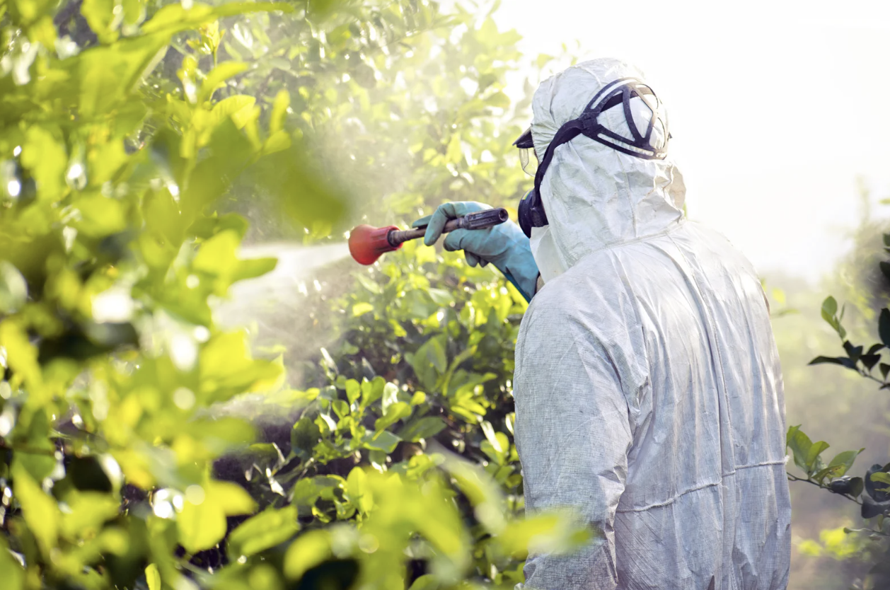 Worker spraying pesticides, representing environmental toxin exposure linked to immune dysregulation and hormonal imbalance.