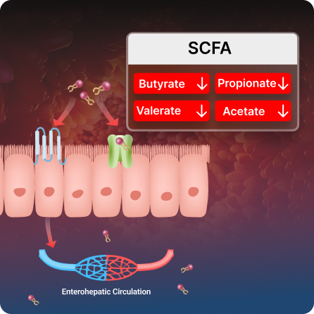 Short Chain Fatty Acids