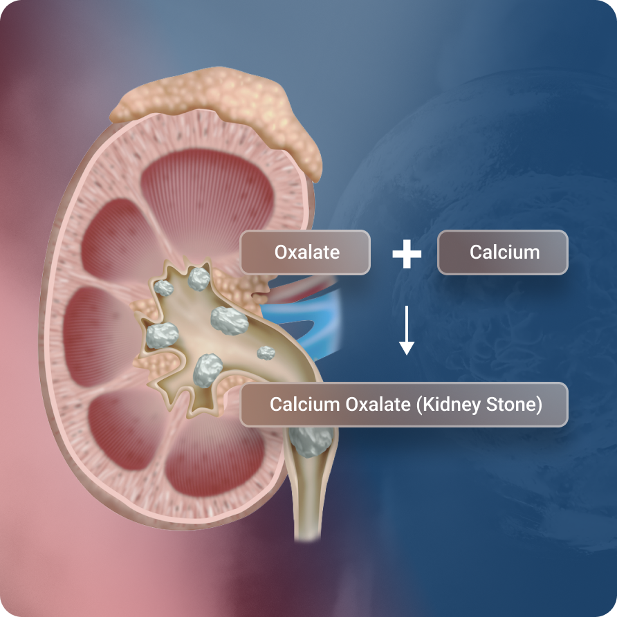 Functional-Metabolism-Markers