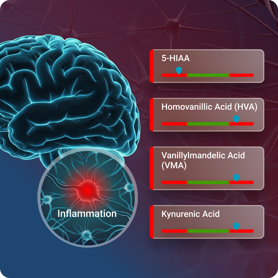 Neurotransmitter-and-Stress