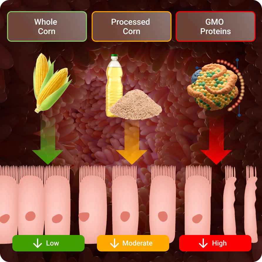 Corn-Peptides-GMO-Antigens