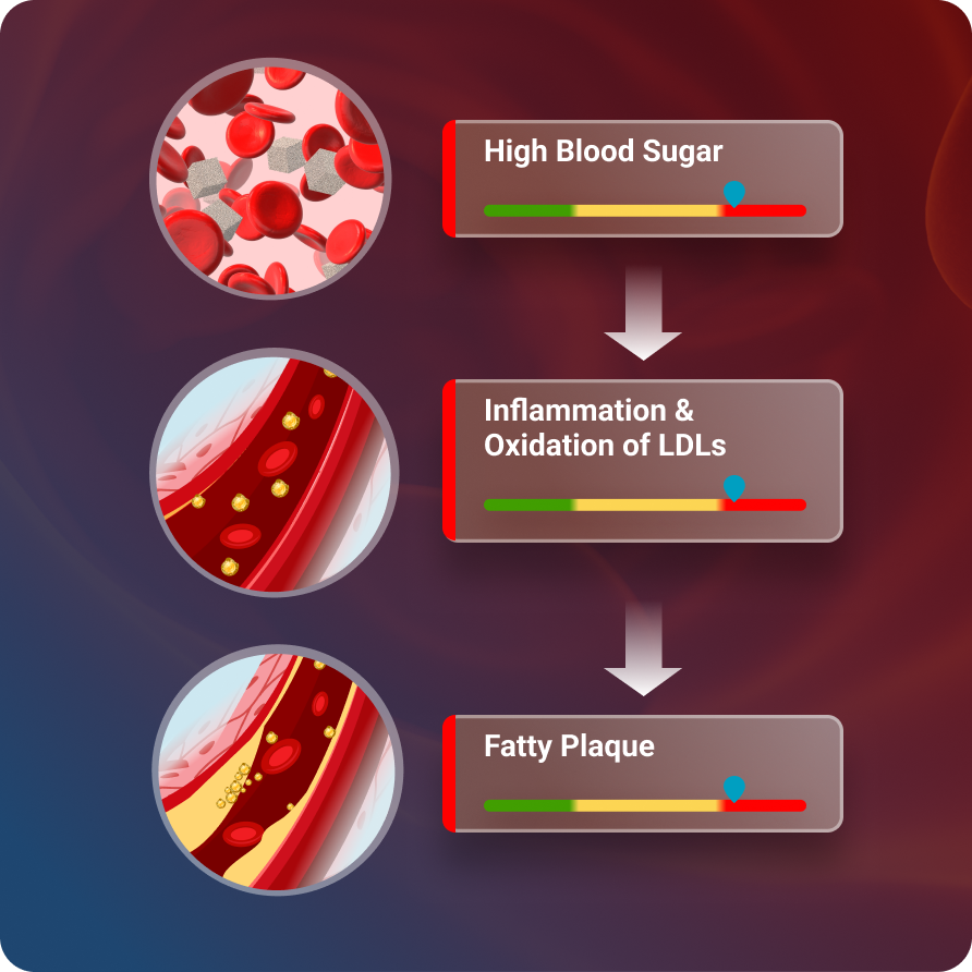 Metabolic-Cardiovascular