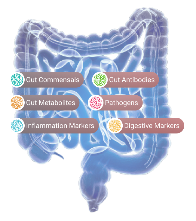 Gut-Markers-Graphic