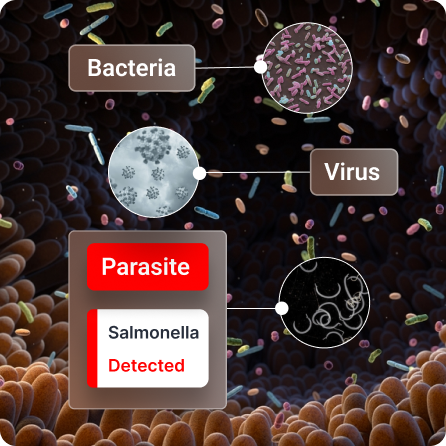 Gut-Pathogens