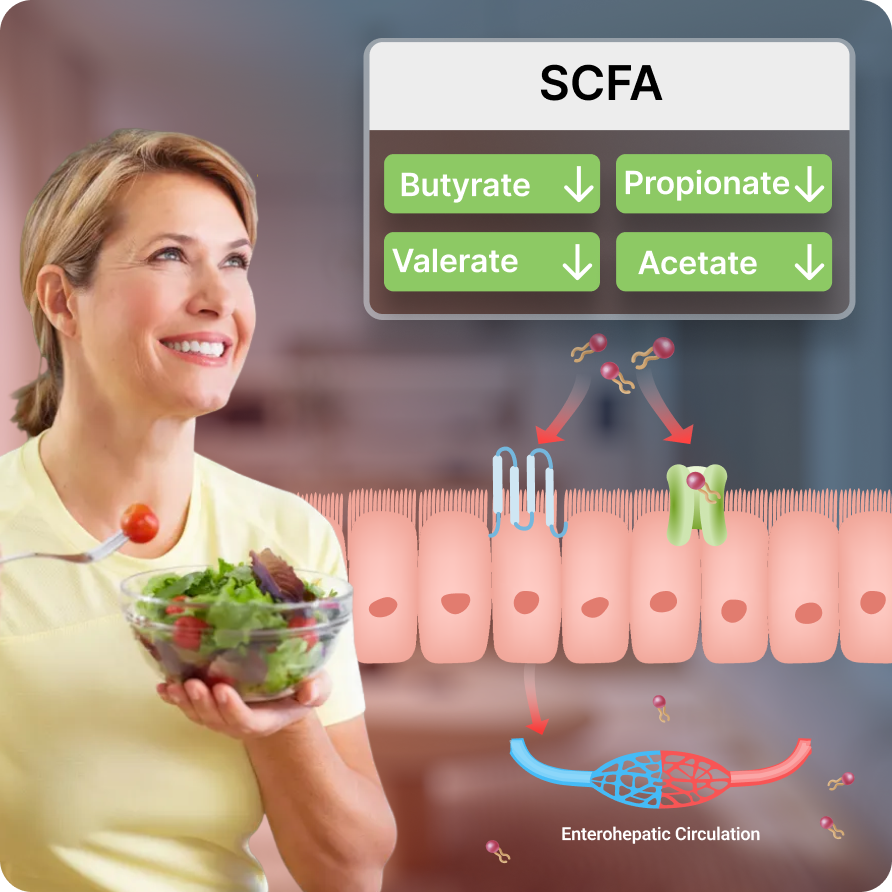 Short Chain Fatty Acids