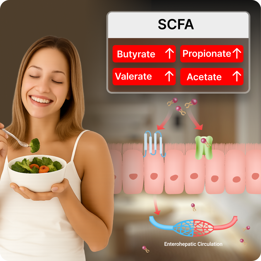 Short-Chain-Fatty-Acids
