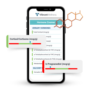 Hormone Zoomer Sample Report Mockup