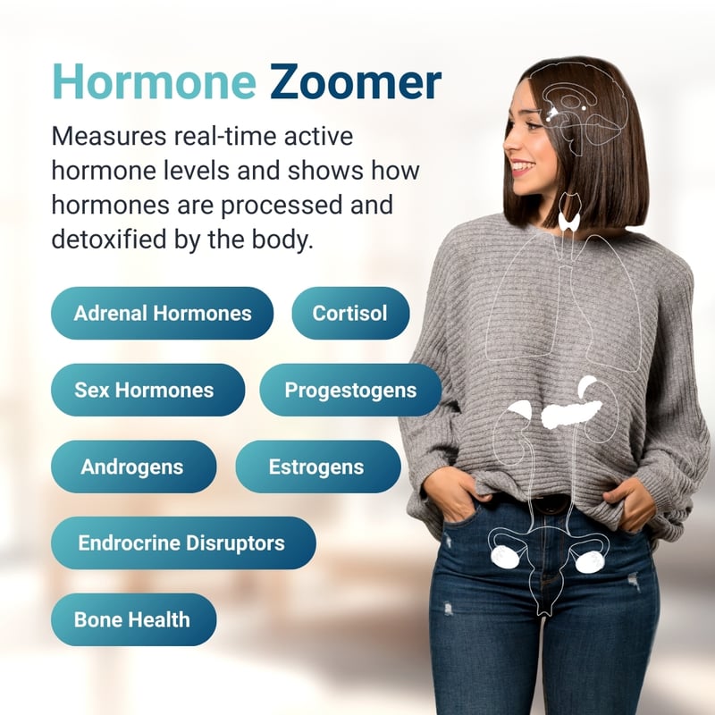 Image of marker types available in the Hormone Zoomer with a woman showing the hormone body systems. Includes adrenal hormones, cortisol, sex hormones, progestogens, androgens, estrogens, endocrine disruptors, and bone health markers.