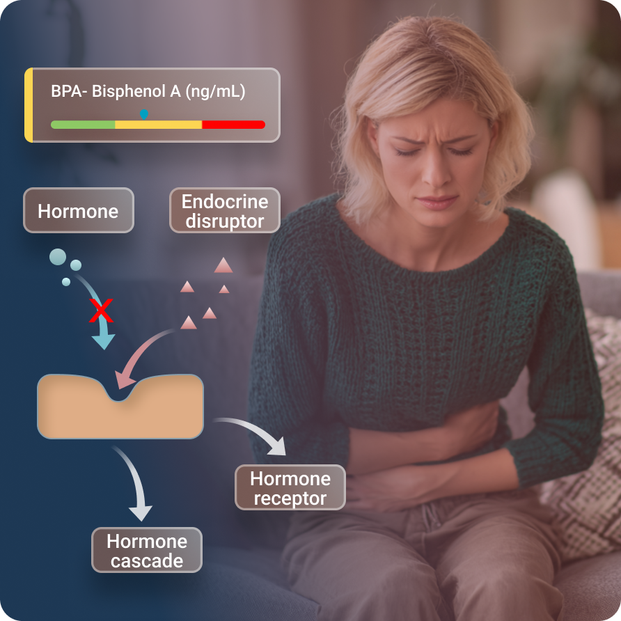 Endocrine-Disruptors