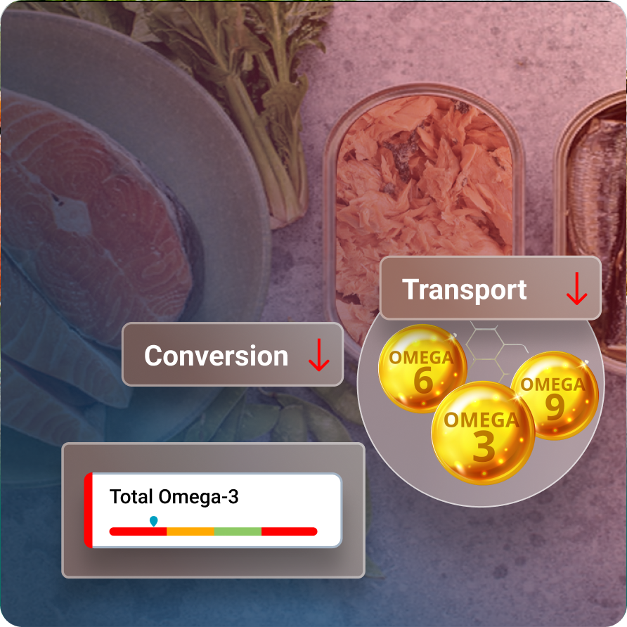 Fatty-Acids-Metabolic-Markers