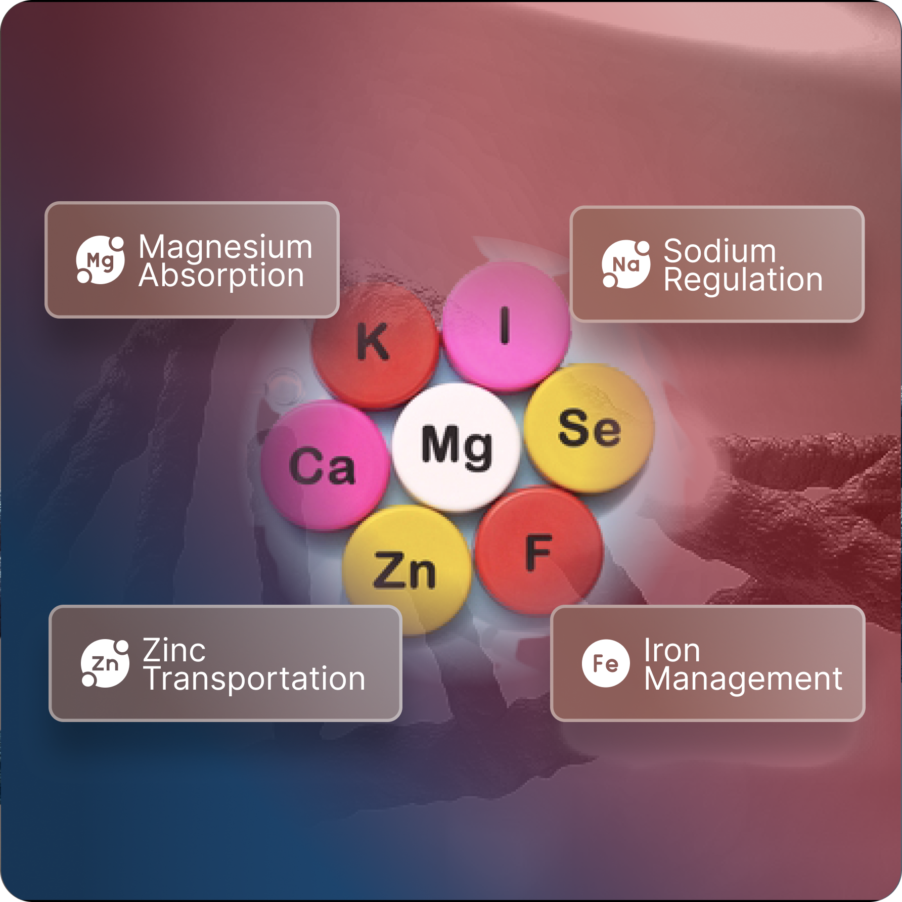 Minerals-and-Electrolyes-Genetics