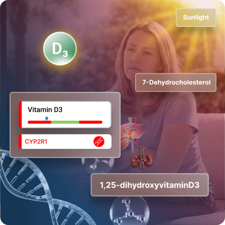 Vitamin-Related-Genetics