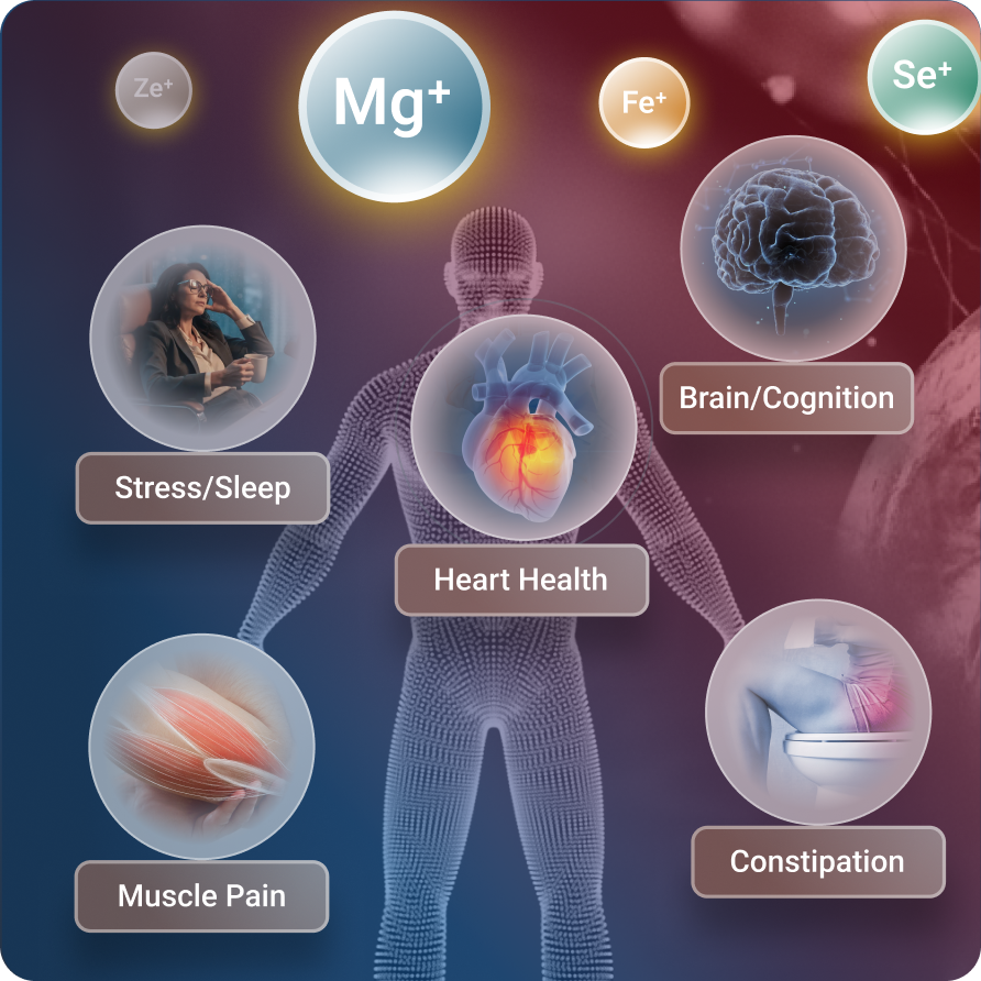 Nutrient Zoomer | Micronutrient & Vitamin Deficiency Nutrient Zoomer | Micronutrient & Vitamin Deficiency
