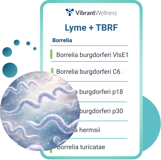 Lyme+TBRF-Snapscroll-Image
