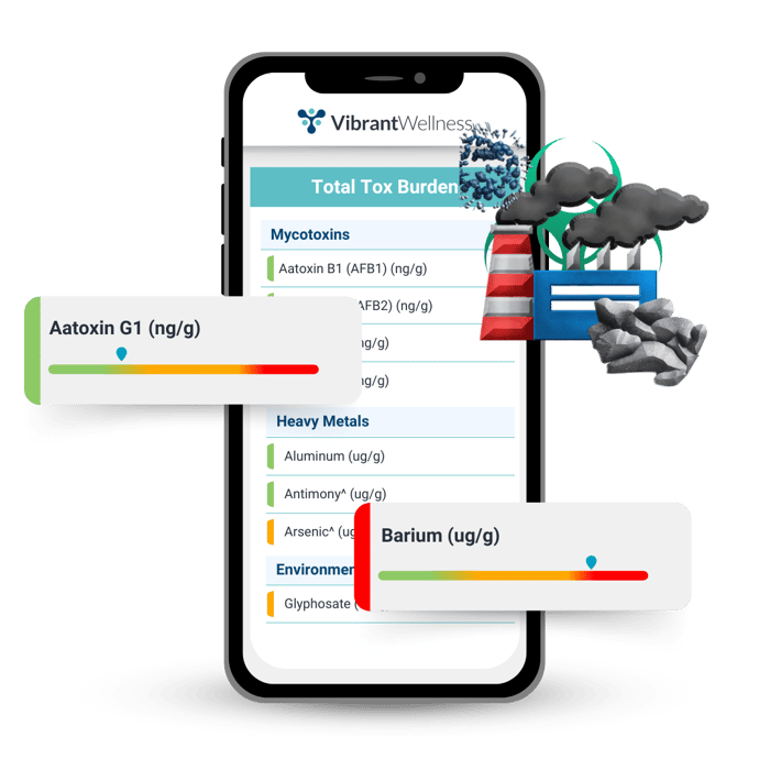 The New Gut Zoomer: Advanced Gut Microbiome Testing for Integrative Health