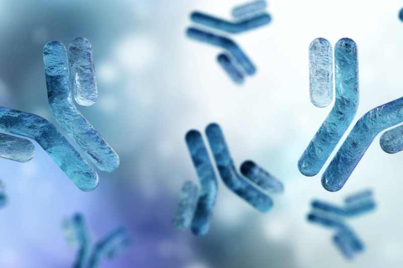 antibodies