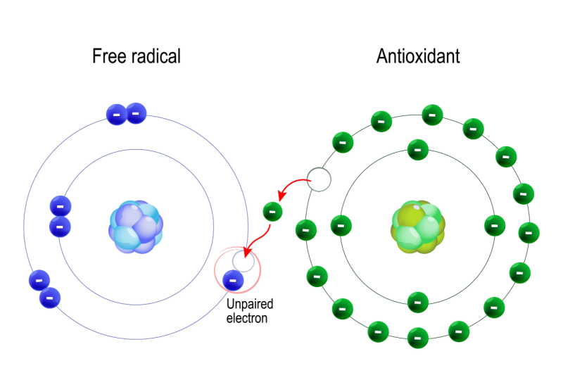 The Impact of Genetics on Oxidative Stress