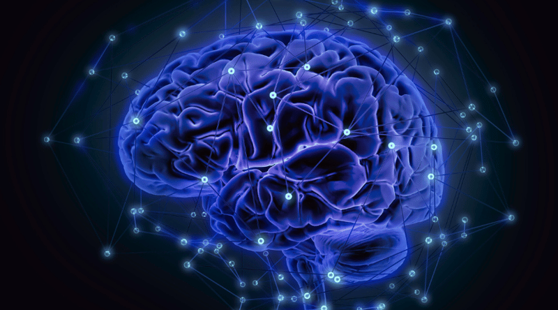 brain learning blog image