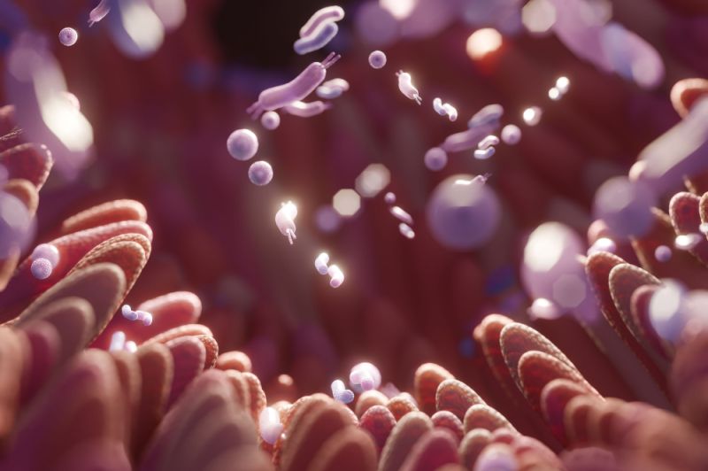 microvilli