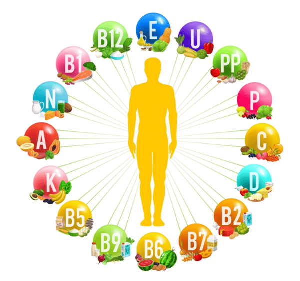 nutrition and longevity