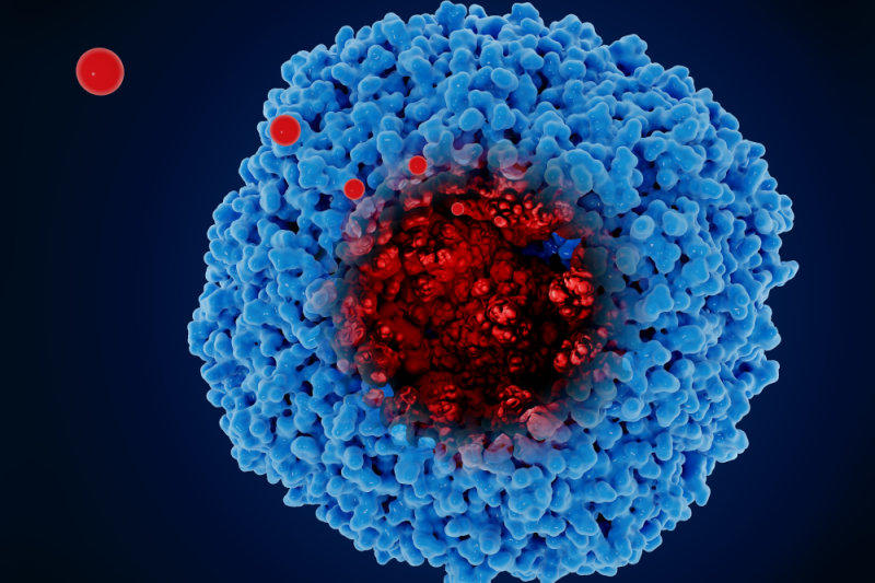 serum ferritin