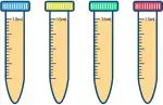 fourUrine1