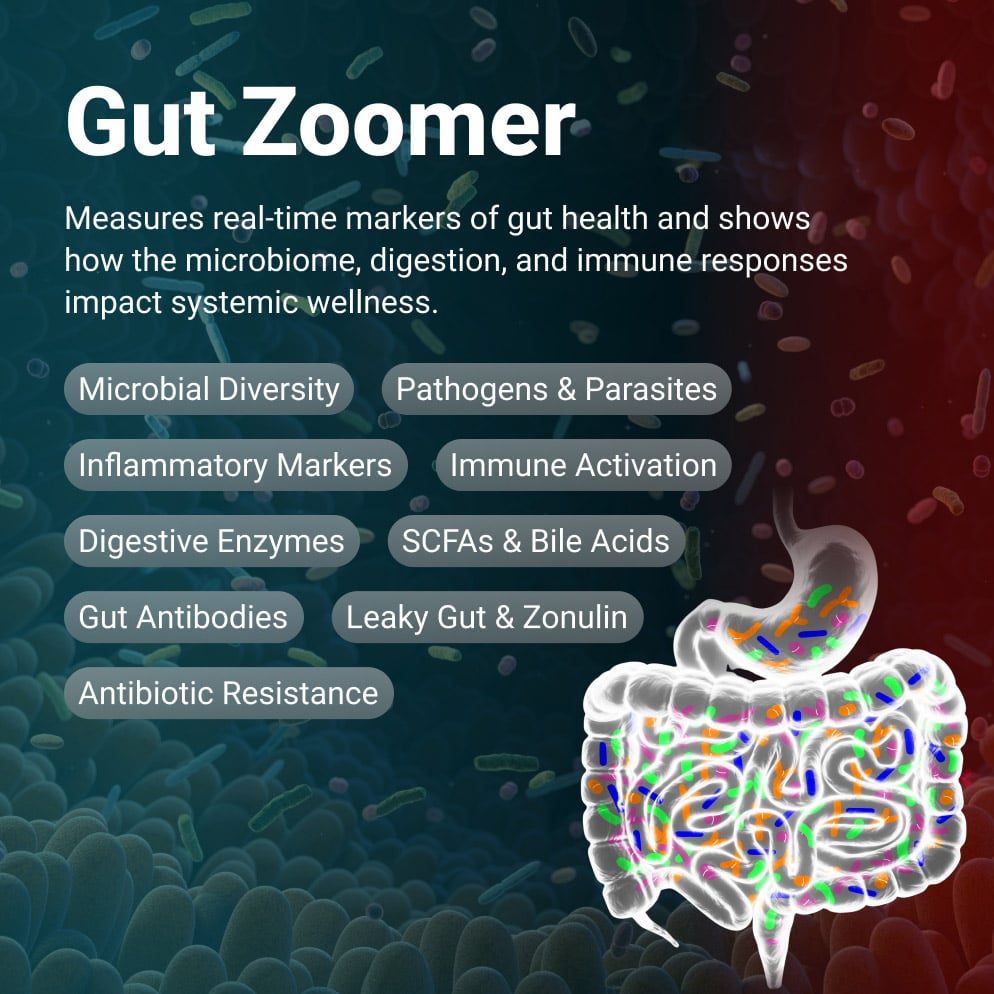 Gut-Zoomer-Overview