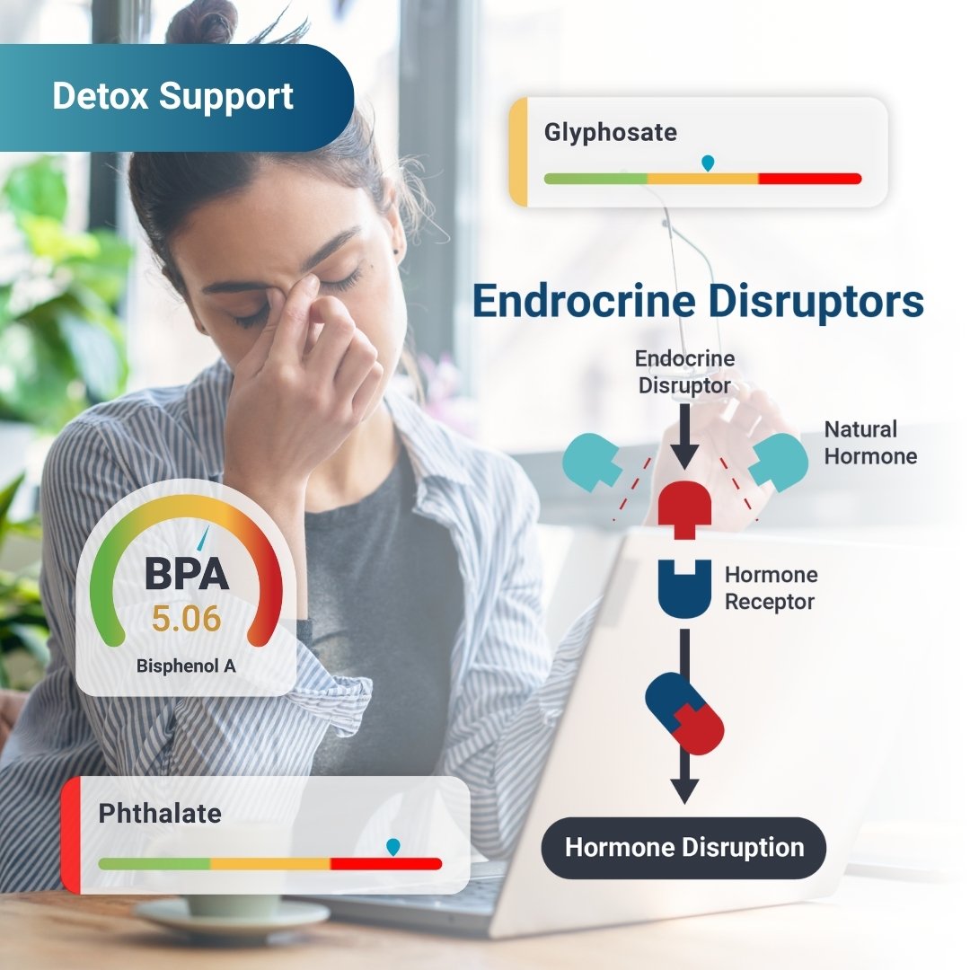 Detox-Support